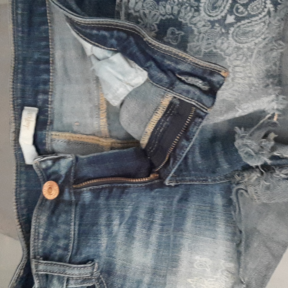 Daytrip Jean shorts